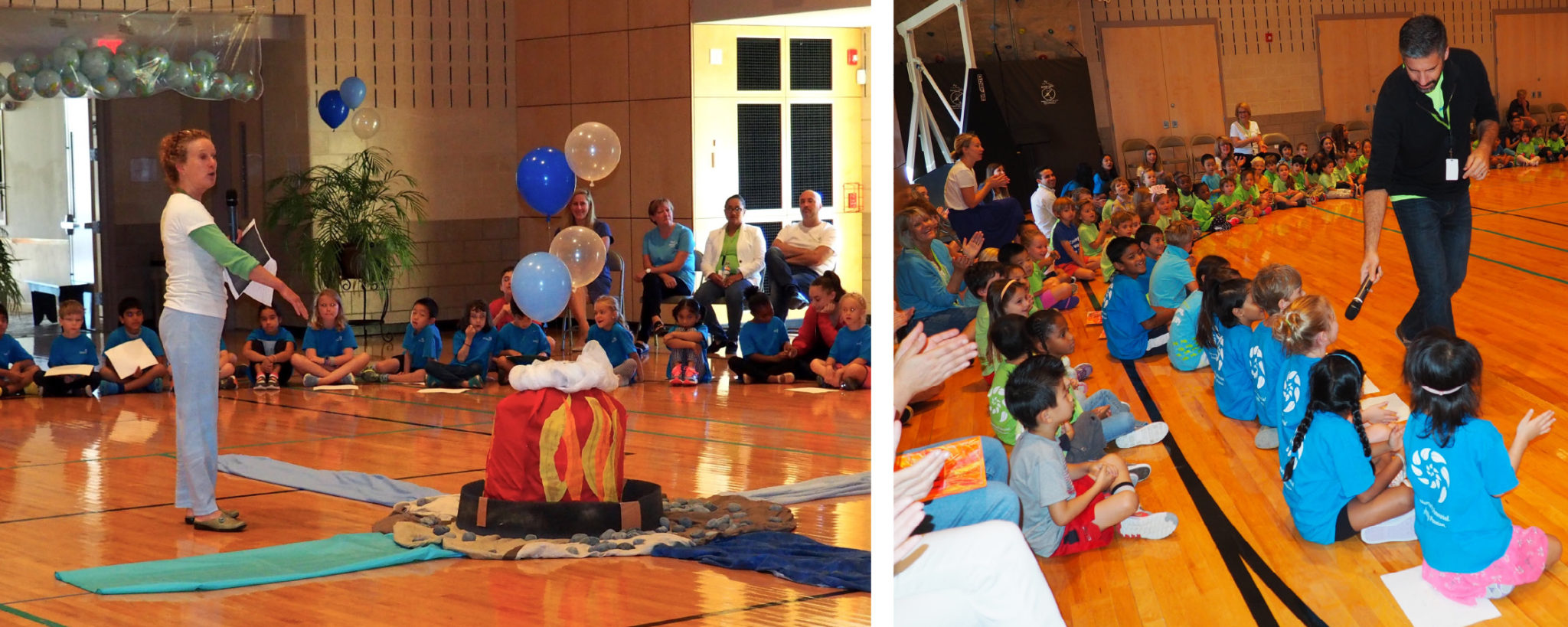 The Four Elements - Princeton Montessori School