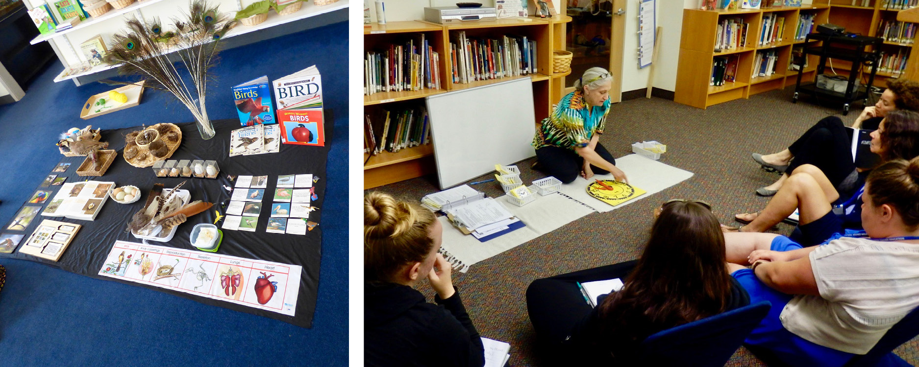 Montessori Teacher Training Princeton Montessori School