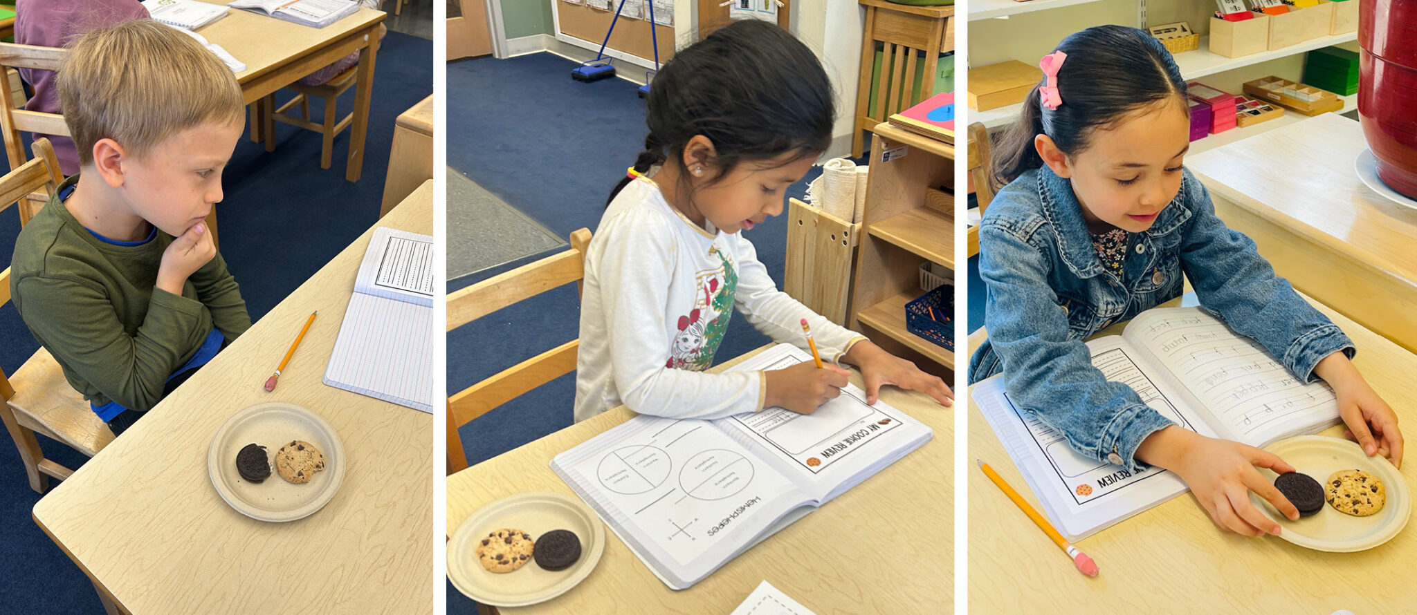 The Great Cookie Election! Princeton Montessori School